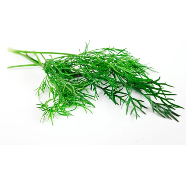 Produce - Dill 4oz