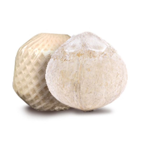 Young Coconut