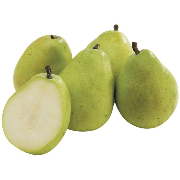 Bosc Pears