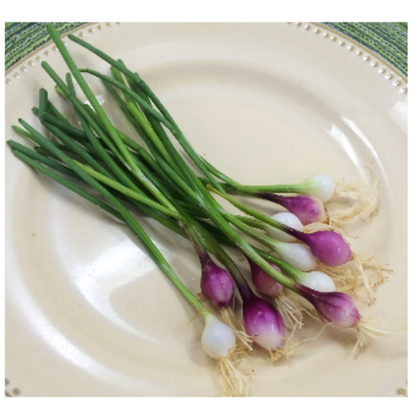 Tiny Veggies - Onion Mix