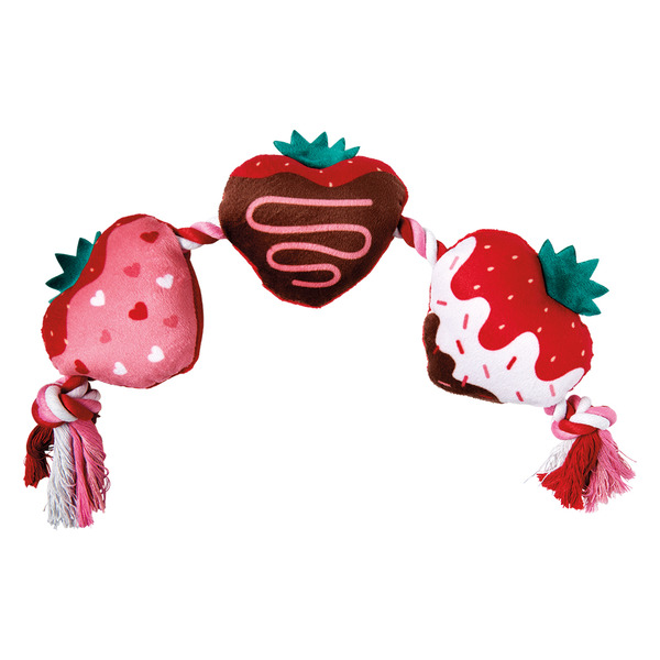 Heart to Tail Chocolate Strawberries Rope Toy Same-Day Delivery or ...
