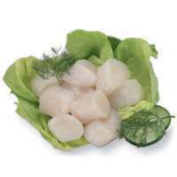 Wfb Sea Frozen Colossal U Scallops