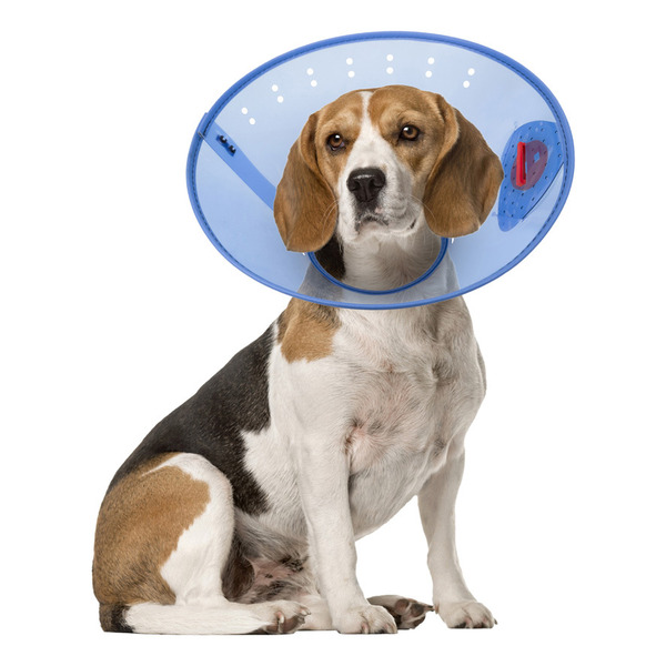 Calm Paws Behavior Support Calming E-Collar - Blue