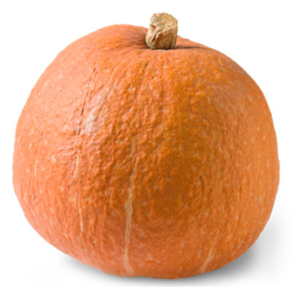 Berville Farms Heirloom Pumpkin
