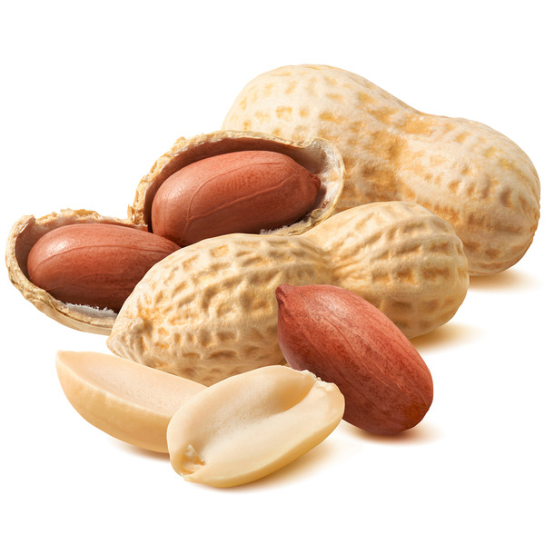 Peanut