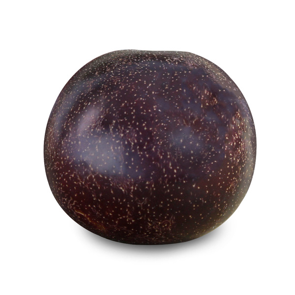 Kingsburg Orchards, Dinosaur Brand Black Pluot/Plumcot