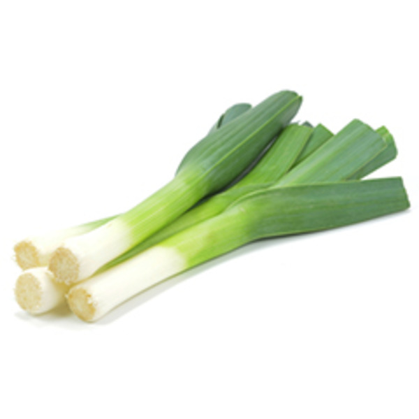 Leek