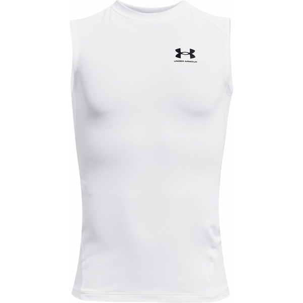Under Armour Men's HeatGear Armour Sleeveless Top