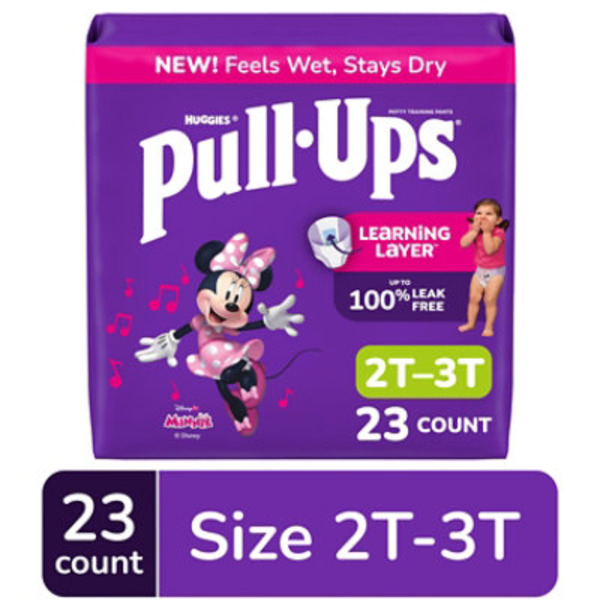 Pull-Ups Size 2T-3T Minnie Mouse Learning Designs Training Pants