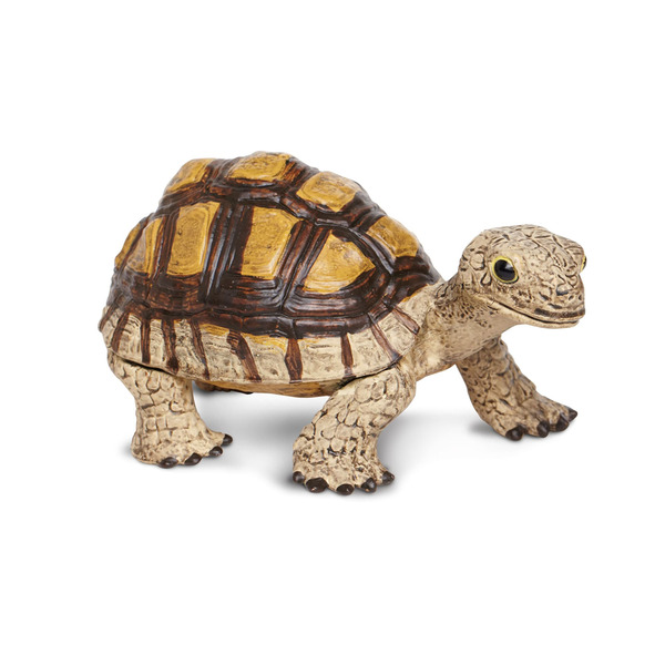Safari Ltd TOOB Tortoise Toy