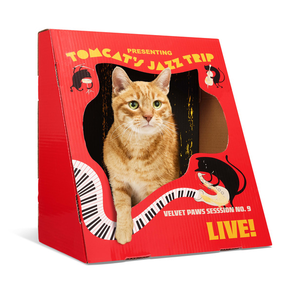 Every Yay Jazz Poster Cat Scratch Condo