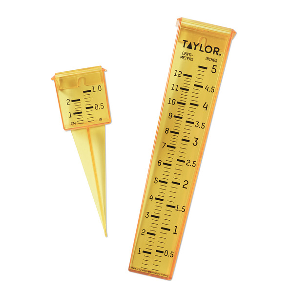 Taylor Precision Rain Gauge