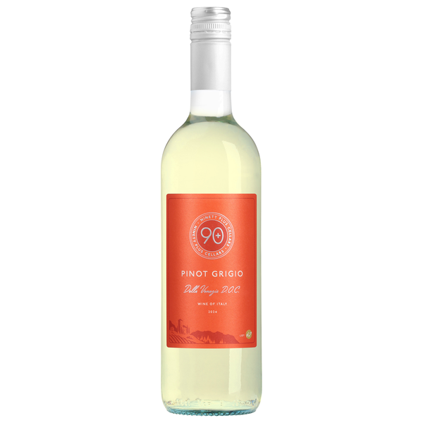90+ Cellars Italy Lot 42 Pinot Grigio Same-Day Delivery | Binny's