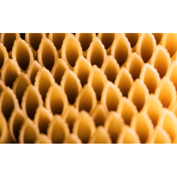 Zerega PS Capellini 2/10lb