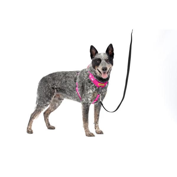 PetSafe Easy Walk® Comfort Harness, Medium, Pink