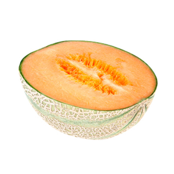Cantaloupe