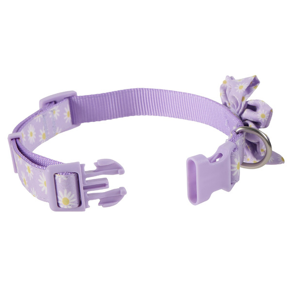 Top Paw Lavender Daisy Dog Collar, Medium - Purple