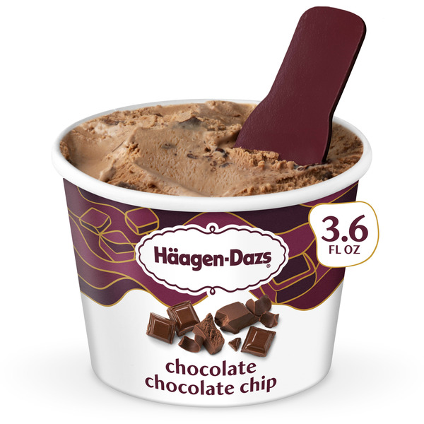 icecream88ページ Häagen-Dazs Chocolate Chocolate Chip Ice Cream Same-Day Delivery