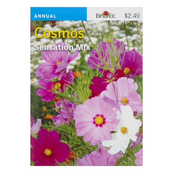 Burpee Cosmos Seeds