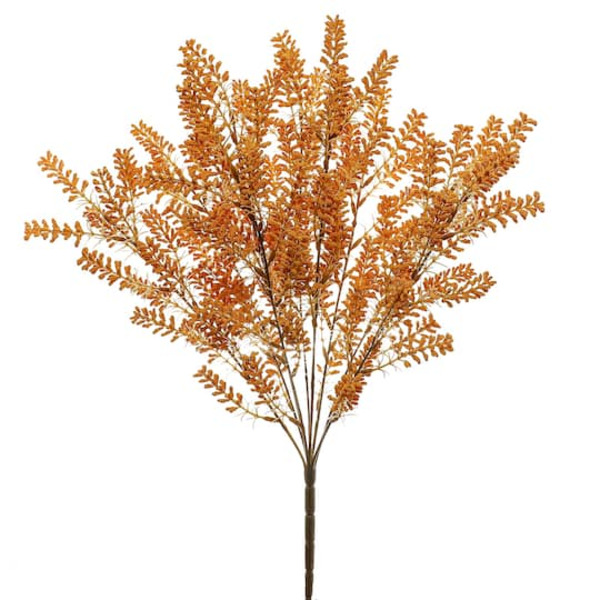 Ashland Berry Bush