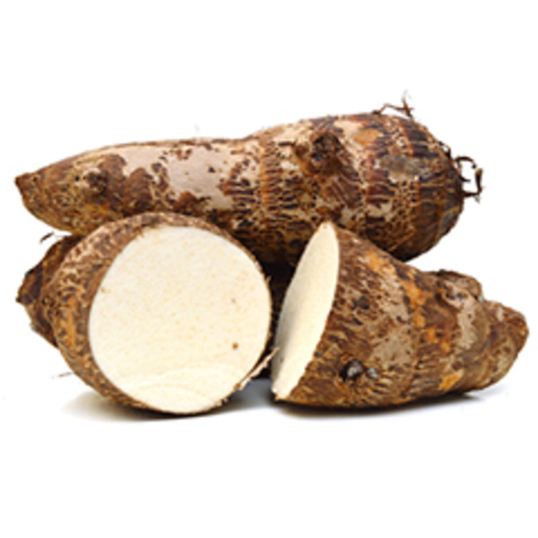 Large Taro Root