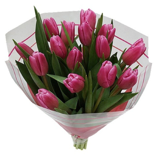 ShopRite THE FLORAL SHOPPE TULIPS MIXED SameDay Delivery Instacart