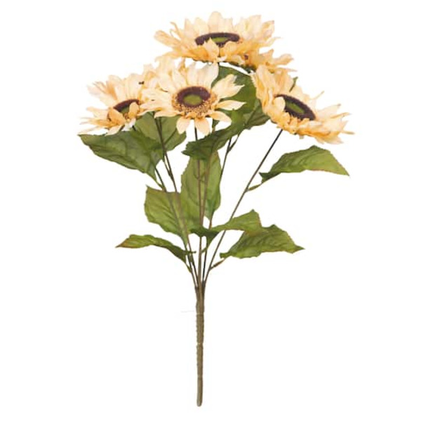 Ashland Sunflower Bush
