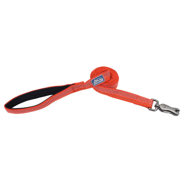 Coastal Pet K9 Explorer Brights Reflective Dog Leash - Canyon - 6' x 1"
