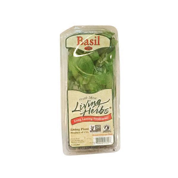 north shore living herbs basil each from stater bros instacart