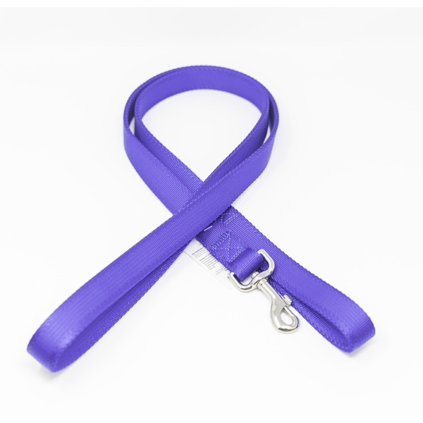 Play On Basic Two Ply Dog Leash, 1 in x 6 ft - Blue