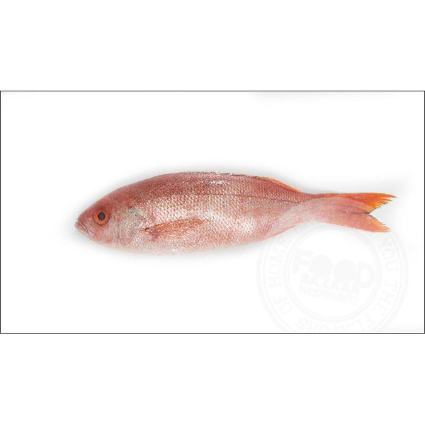 Bliner Snapper B Liner Snapper Same-Day Delivery | Food Bazaar