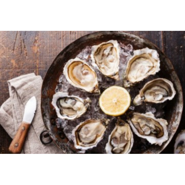 Pacific Oysters, 16 oz