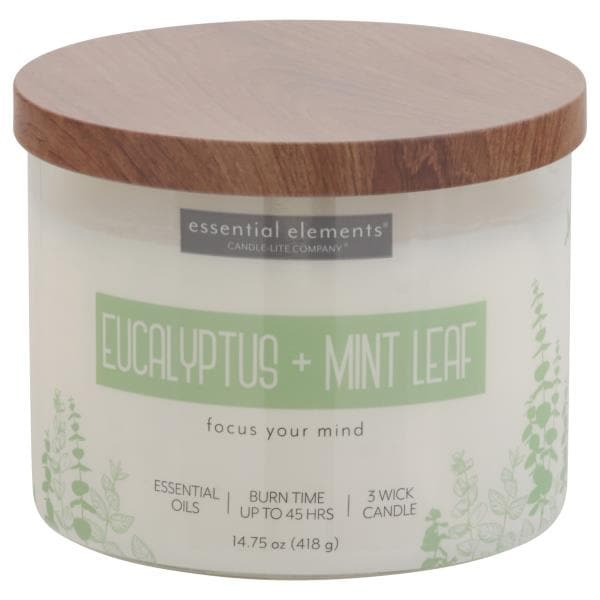 Essential Elements Candle, Eucalyptus + Mint Leaf, 3 Wick Same-Day ...