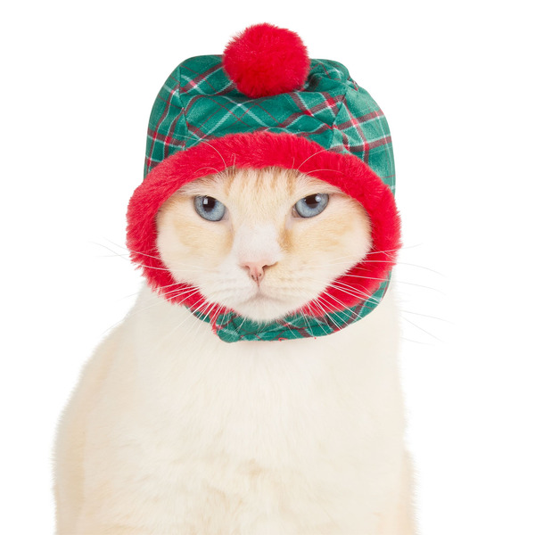Merry & Bright Plaid Holiday Cat Headpiece, One Size