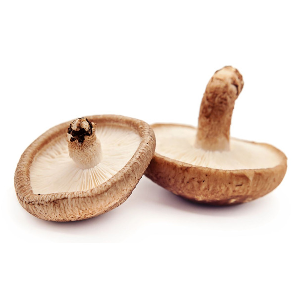 Shiitake Mushrooms, #1, Large