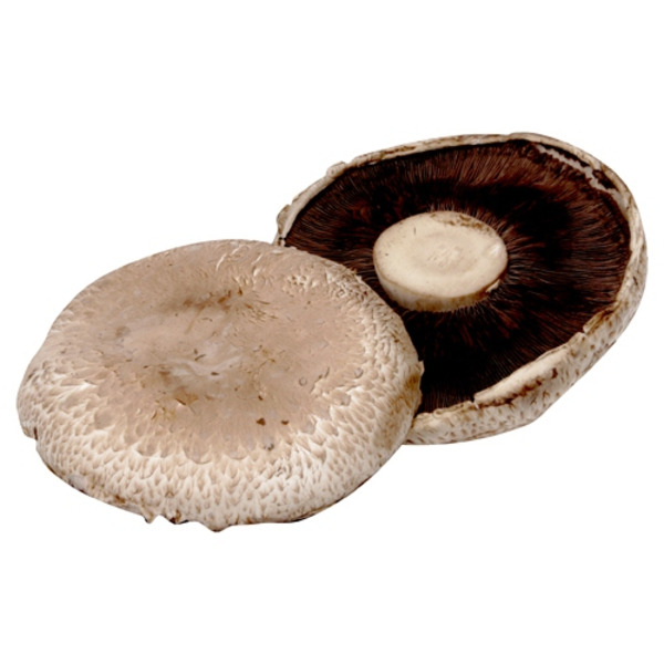 Portabello Mushrooms