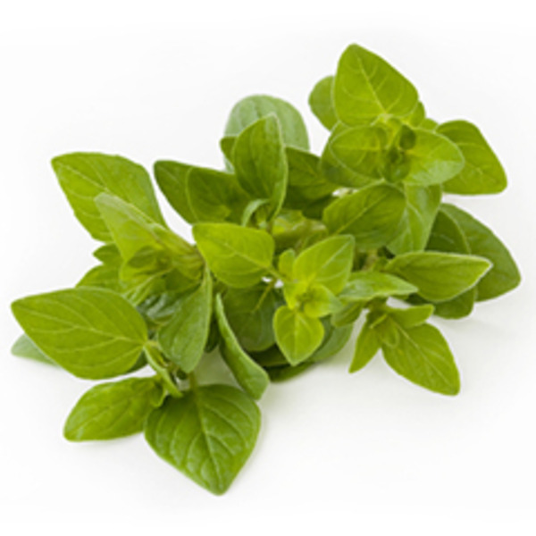 Cardenas Markets FRESH OREGANO
