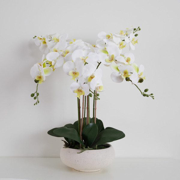 allen + roth 23-in White Indoor Desktop Orchid Artificial Flower