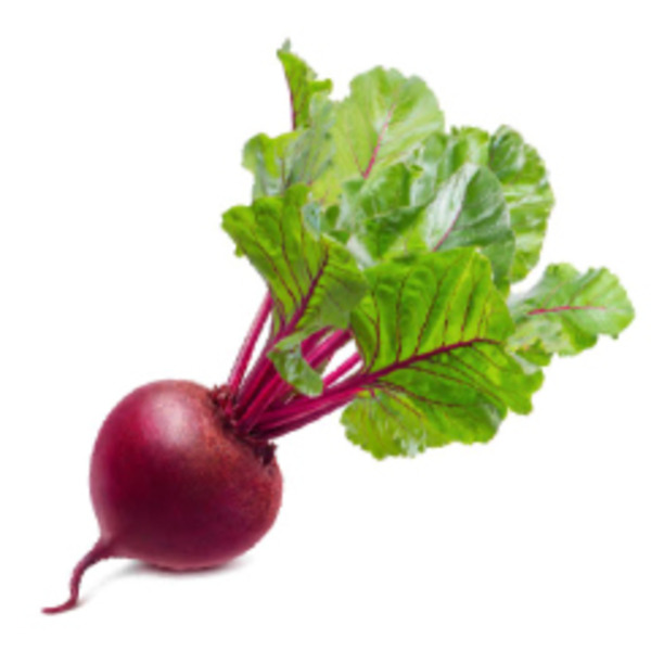 Beet