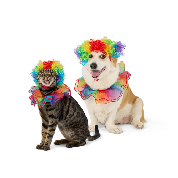 Thrills & Chills Clown Costume Set for Dogs & Cats, Large/X Large