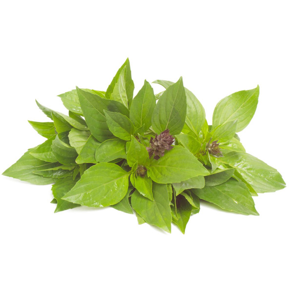 THAI BASIL - 1 LB