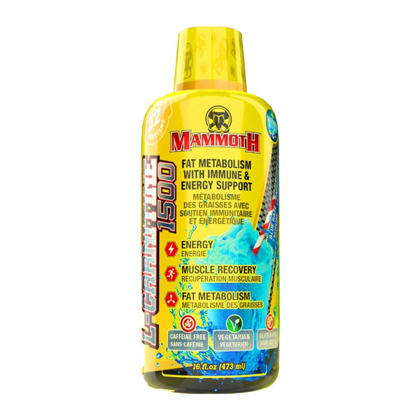 Mammoth L-Carnitine 1500 Blue Raz Slushie Same-Day Delivery | Healthy Planet