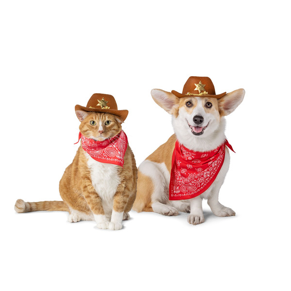 Thrills & Chills Cowboy Hat & Bandana Dog & Cat Costume Set, L