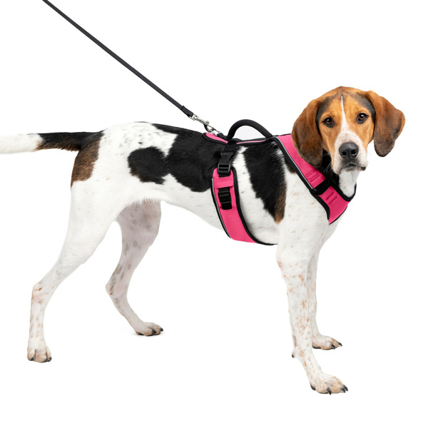 PetSafe EasySport Harness, Large, Pink