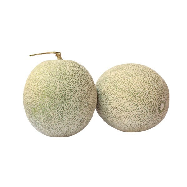 Cantaloupe Melon (1 ct) Instacart