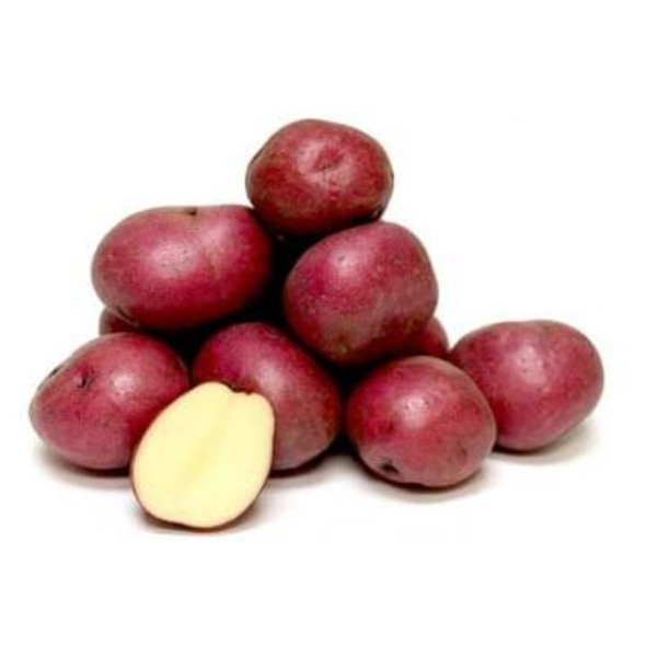 Red A #1 potato - 10 lb bag