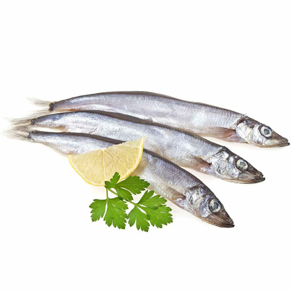 Female Capelin Shishamo