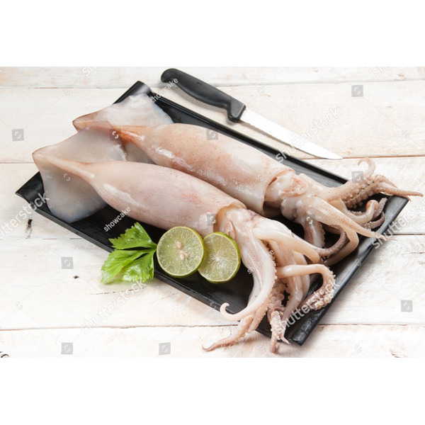 Frozen Loligo Squid 5-8 Tubes And Tentacle - 2.5 lbs