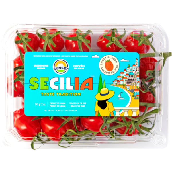 Sunset Secilia On The Vine Tomatoes