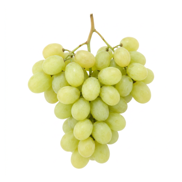 White Seedless Grapes